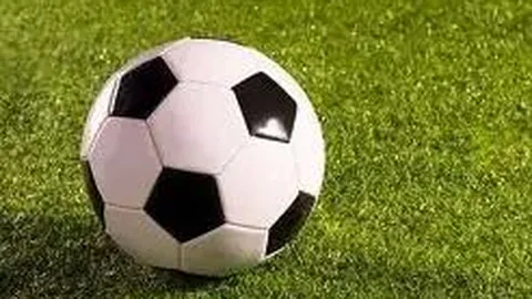 王楚钦在亚洲杯乒乓球赛中战胜科兰尼