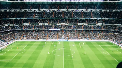 上海上港足球俱乐部简介