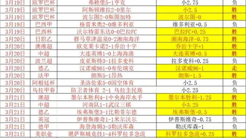 意甲引入“開放VAR”技術，球迷可近距離感受裁判判決过程