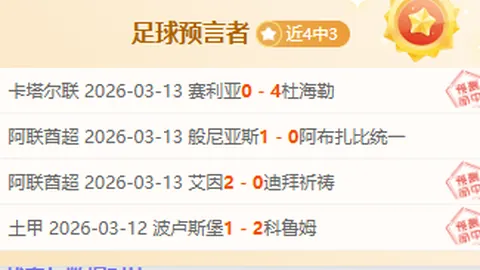 芬赛两连胜态势，芬甲主场迎战芬超专家推荐